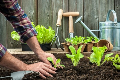 Landscaping Chingford team committed to ethical work and human rights