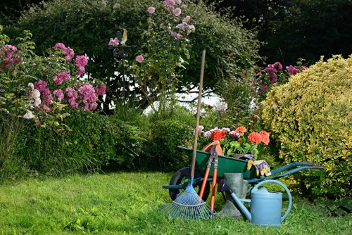 Planning a new garden layout with patios and planting