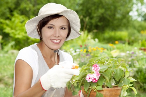 Customer raising a landscaping complaint in a structured process