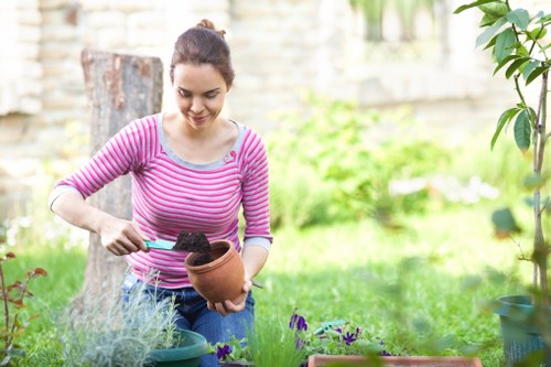 Team introducing landscaping services in Chingford with garden design focus
