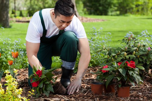 Marketing cookie and privacy preference illustration for a landscaping site