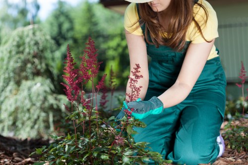 Rear garden makeover with lawn, borders, and practical outdoor living space