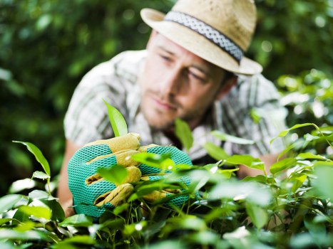 Supplier audit and compliance review for landscaping operations