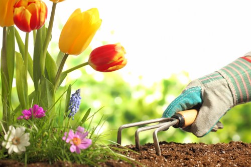 Essential cookie settings for a landscaping website in Chingford