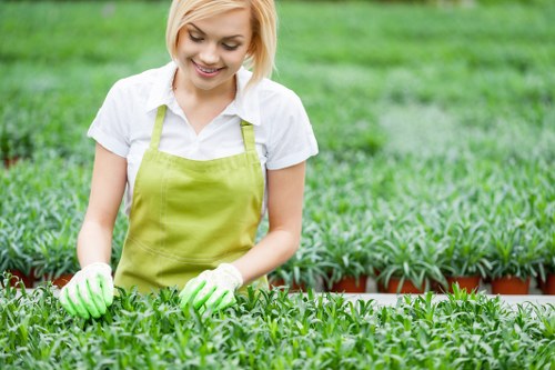 Close-up of realistic artificial turf for local homes