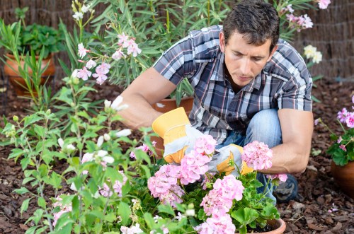 Final step in a landscaping complaints procedure with closure